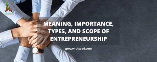 MEANING, IMPORTANCE, TYPES, AND SCOPE OF ENTREPRENEURSHIP