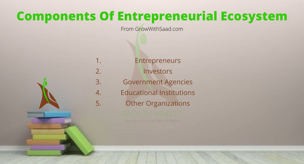 Entrepreneurial ecosystem