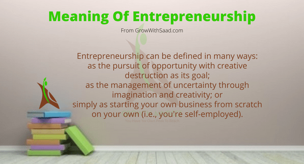 Meaning Of Entrepreneurship